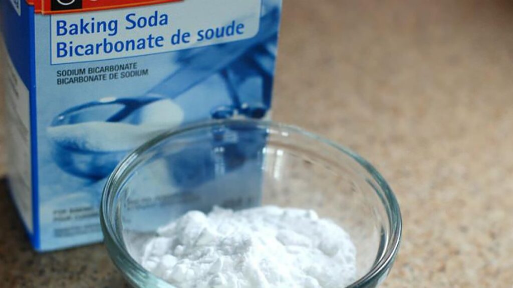 Remedios caseros para eliminar el olor a perro.