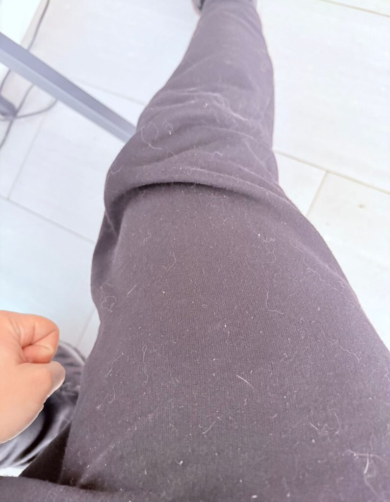 quitar los pelos de perro de la ropa negra.